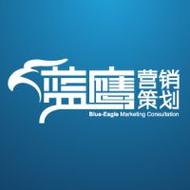 蓝鹰营销策划 企业营销策划的系统化实践与价值创造